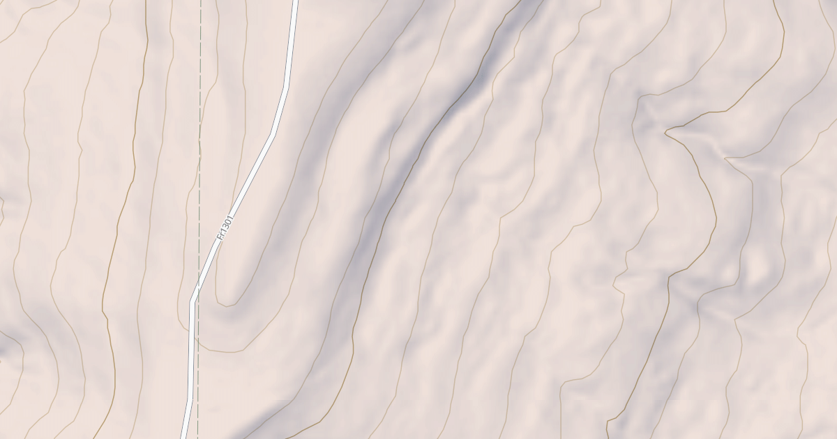 Map preview of USFS National Forest System Roads {FC032657-D5E6-4ABF-8DBF-E2C157E47609}