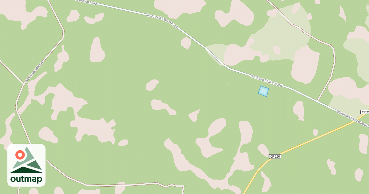 Map of USFS National Forest System Roads {AEA47326-25A9-40DD-86FF-79E84FB06307}