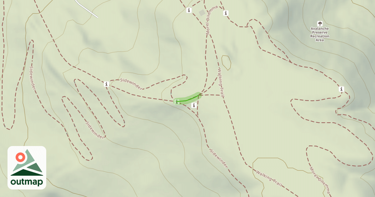 Map of Morel Dilemma