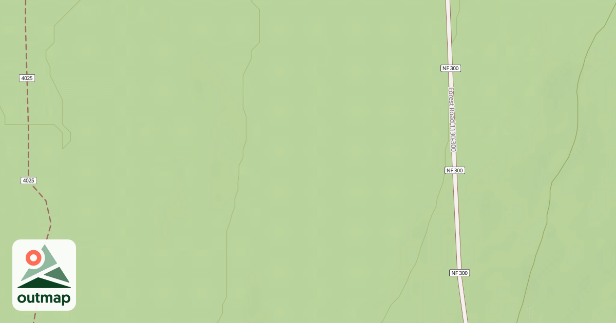 Map of USFS Motor Vehicle Use Map Roads {5CF098E3-A228-4331-97FB-04F4CE58BEDA}