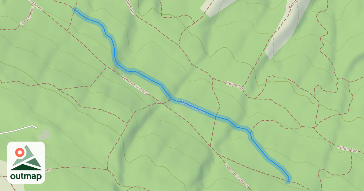 Map of Beaver Fever