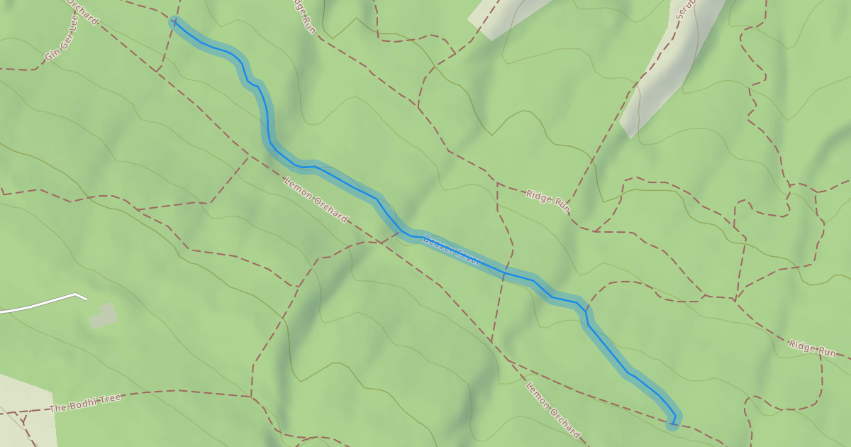 Map preview of Beaver Fever