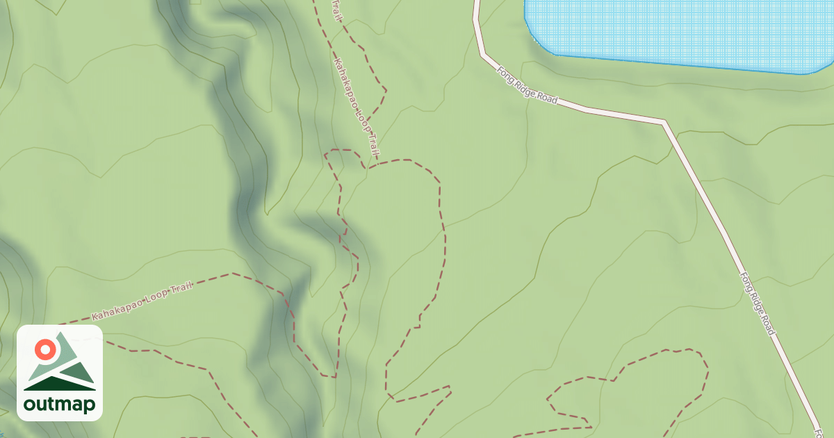 Map of Fong Ridge Road/Trail