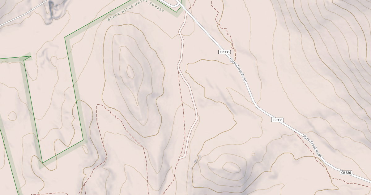 Map preview of FLYNN CREEK BR 1O