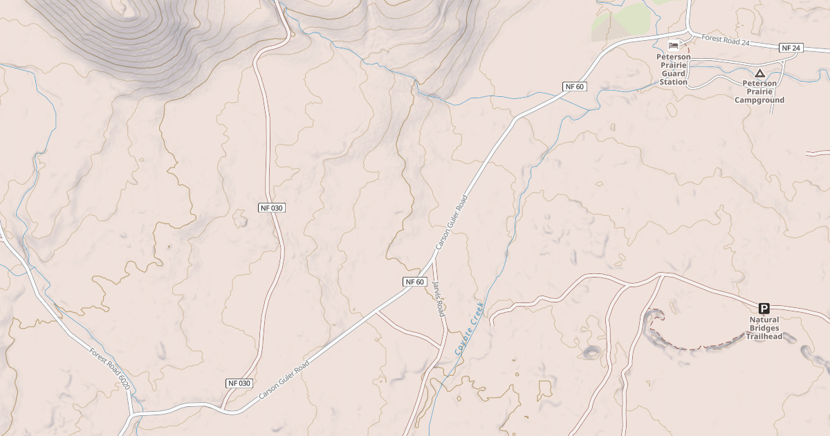 Map preview of CARSON GULER