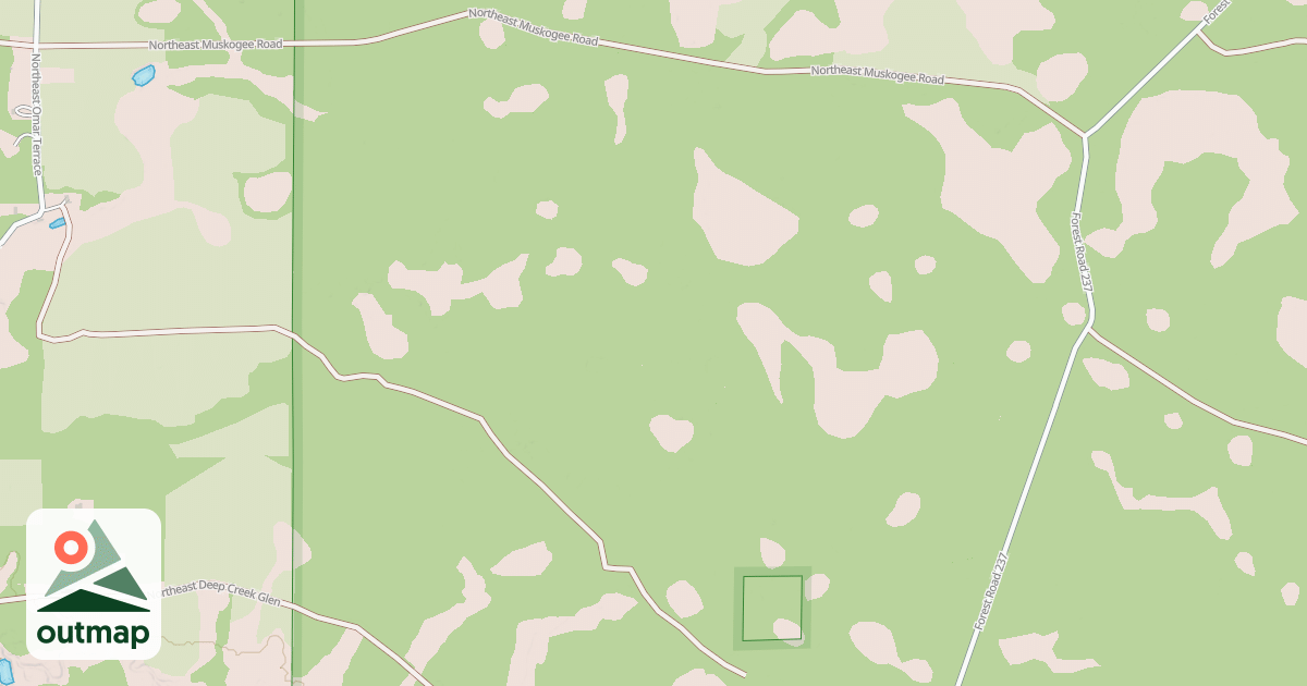 Map of USFS National Forest System Roads {FDCD6BD6-F93A-42CB-8826-E50B4B4E4D3A}