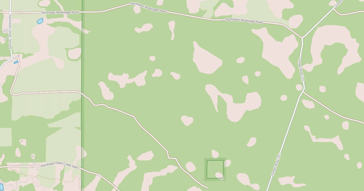 Map preview of USFS National Forest System Roads {FDCD6BD6-F93A-42CB-8826-E50B4B4E4D3A}