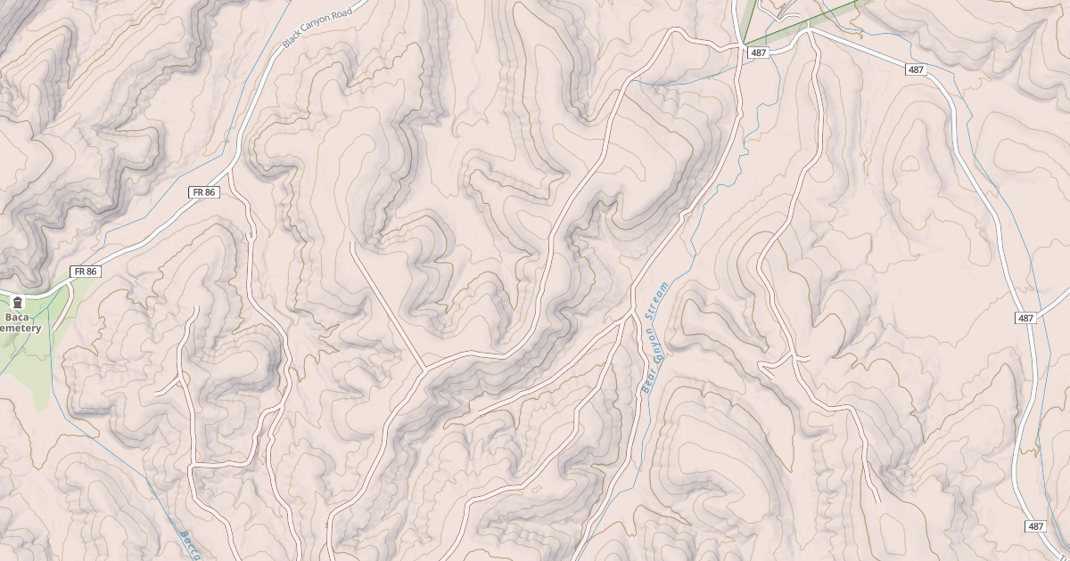Map preview of USFS National Forest System Roads {99CEEBAF-BFE4-4451-A158-EF8DC2AAFF44}