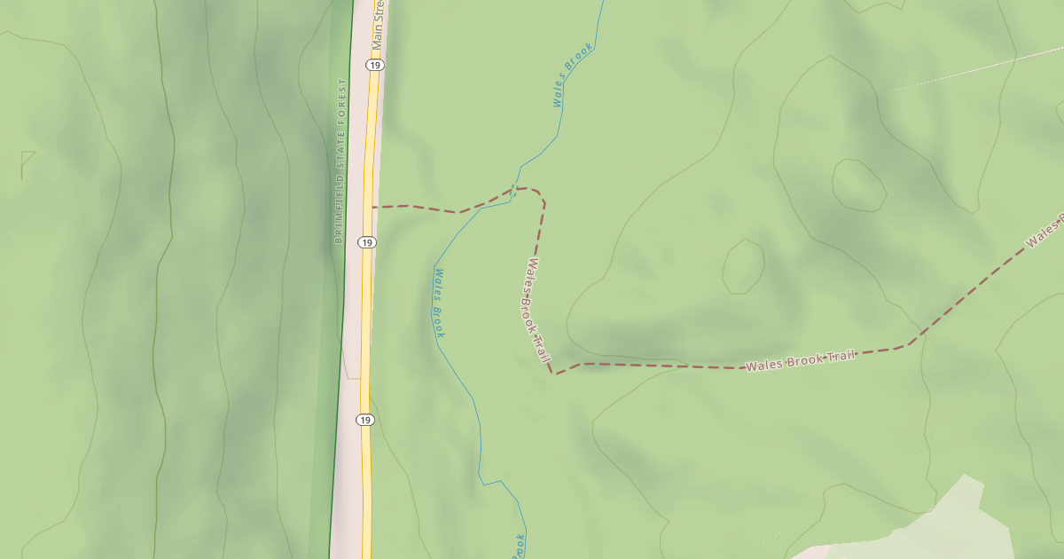 Map preview of Wales Brook Trail
