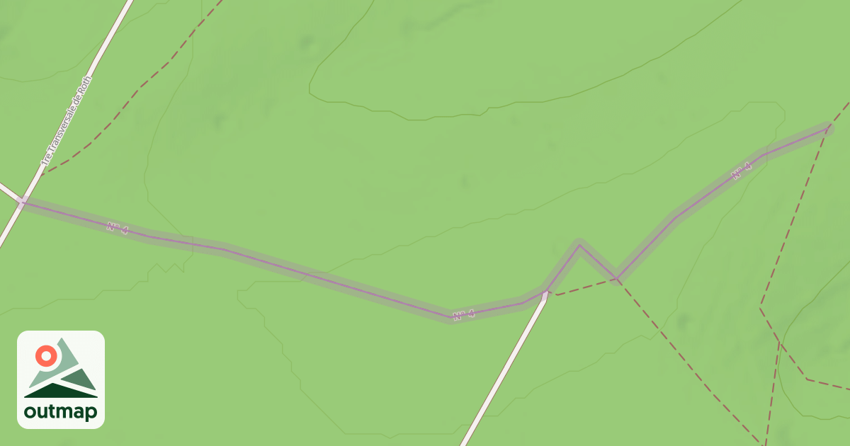 Map of N° 4