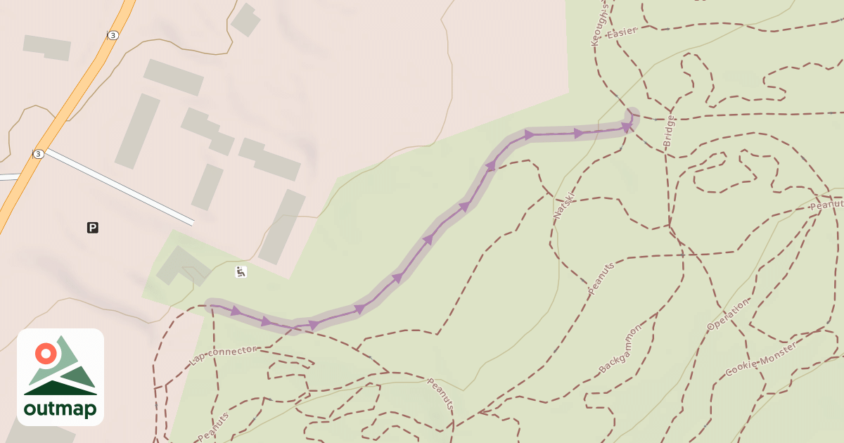 Map of All Loops