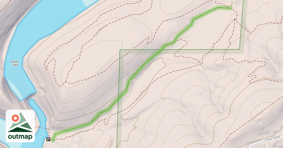 Map of Bees Knees
