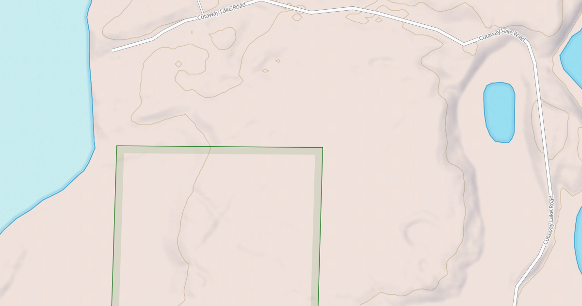 Map preview of CUTAWAY LAKE ROAD SPUR A
