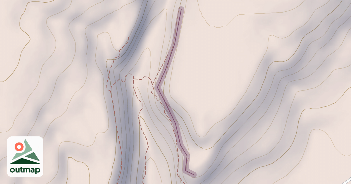 Map of Freeform Wall