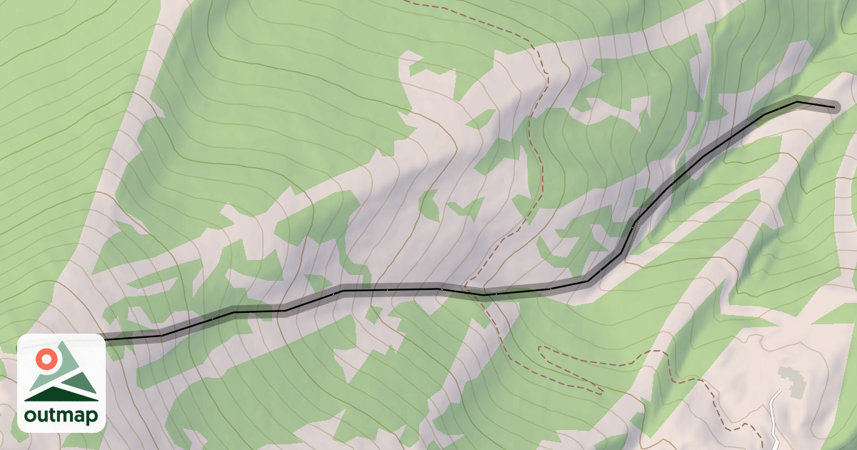 Map of Paradise