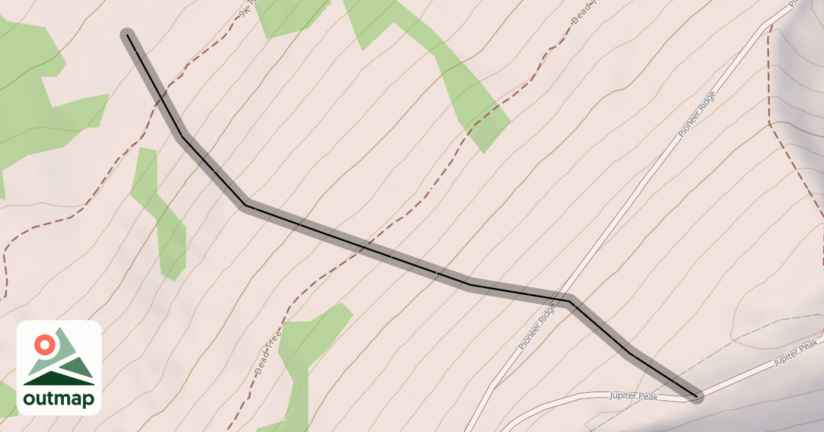 Map of Dead Tree