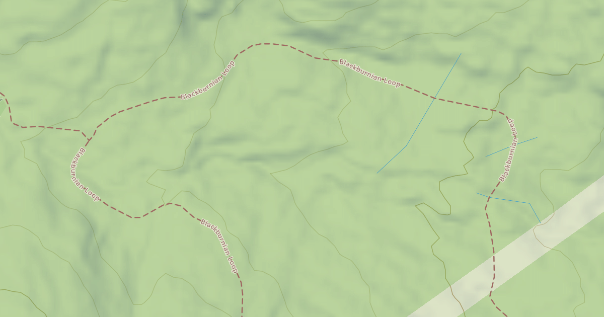 Map preview of Lost Pond Trail