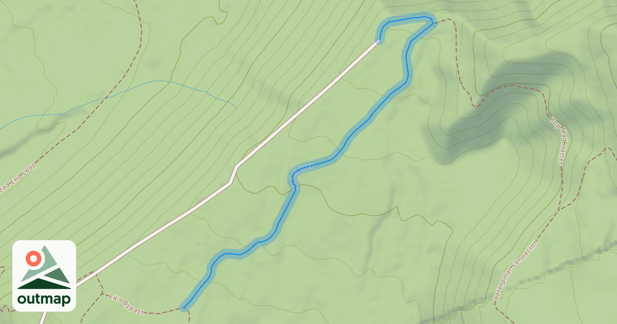 Map of Mad Hatter