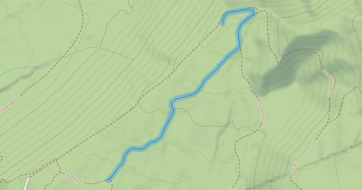 Map preview of Mad Hatter