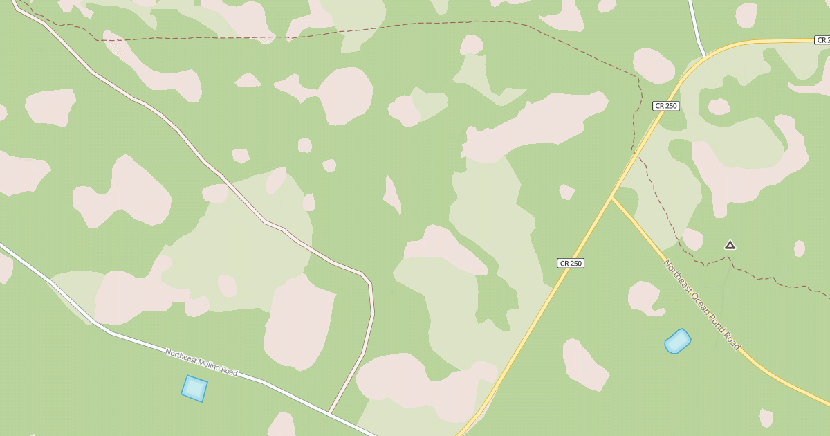 Map preview of USFS National Forest System Roads {C0EF1D27-00CF-49A0-AC57-594E25E7EC5B}