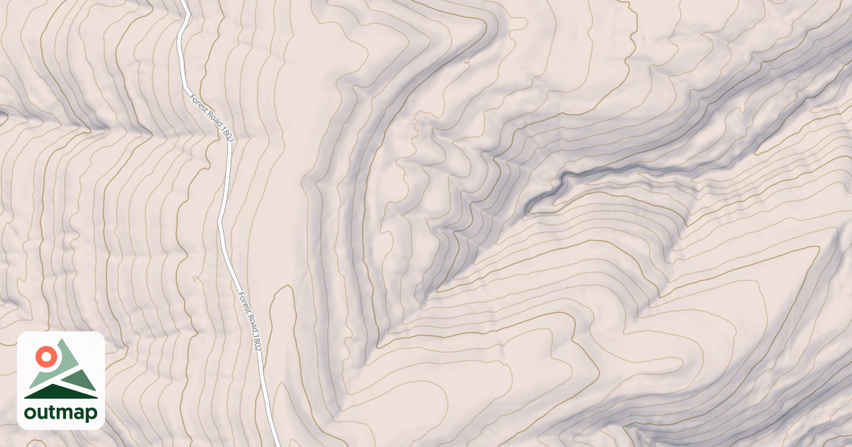 Map of USFS National Forest System Roads {1C6700C9-C4E2-48CF-AA58-035102F52FE4}