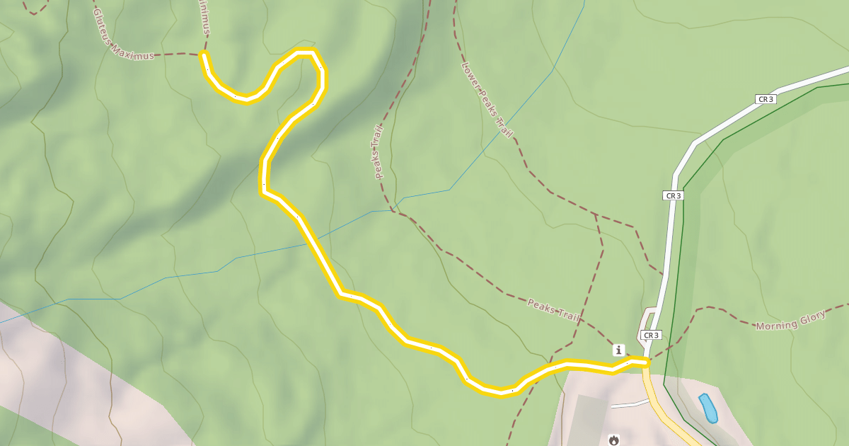 Map preview of Gluteus Maximus