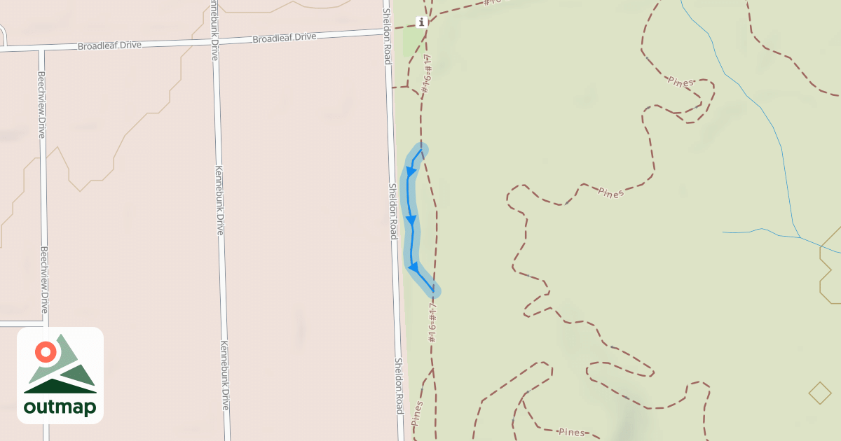 Map of Pines