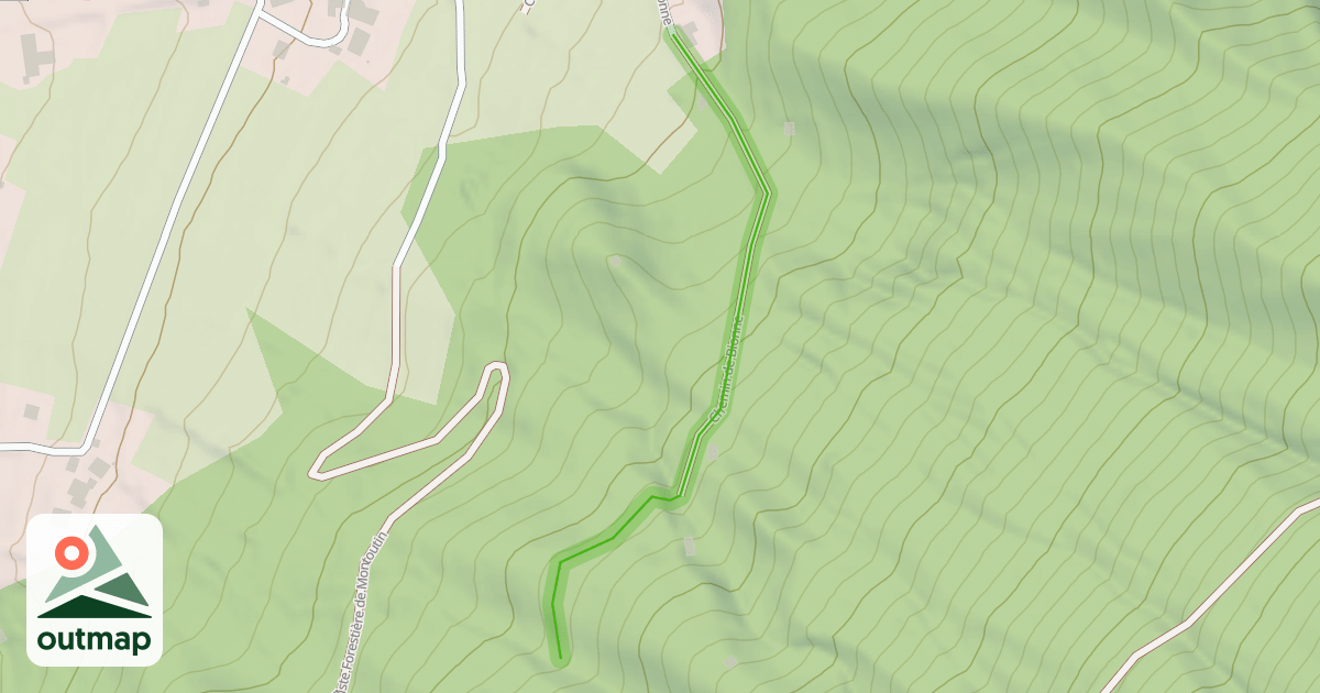 Map of Chemin de Bionne