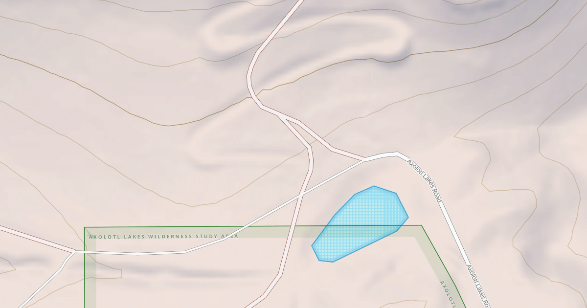 Map preview of BLM National GTLF Public Motorized Roads 51ba3dd1-cced-4297-876e-35f358626a73
