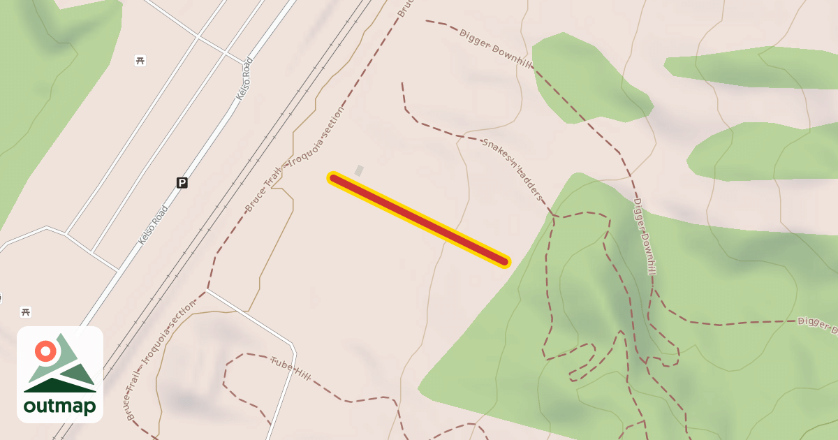 Map of Caterpillar Carpet