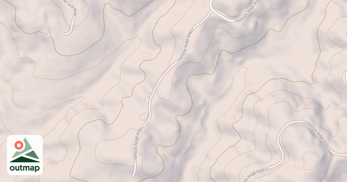 Map of CHAMOOK RIDGE C