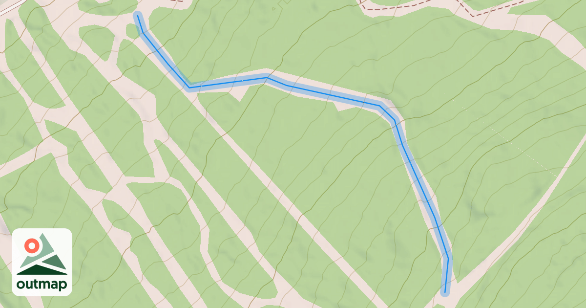 Map of Lower Lynx