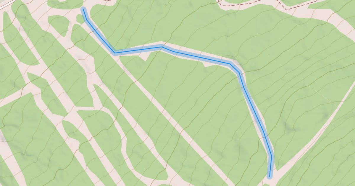 Map preview of Lower Lynx