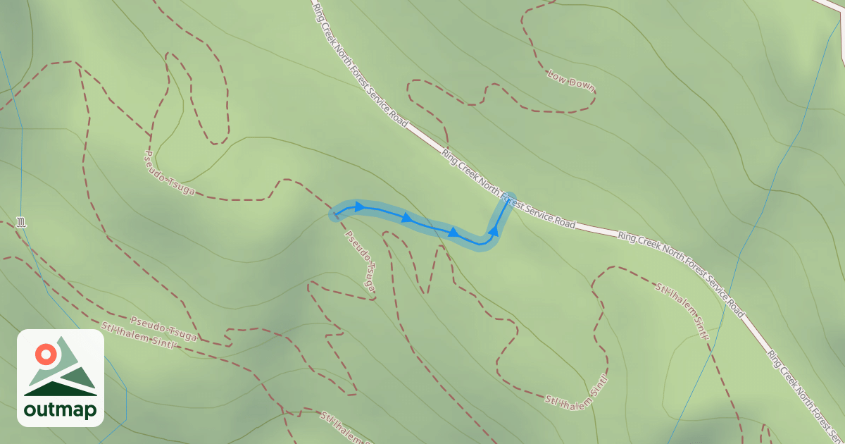 Map of Lower Down Part 3