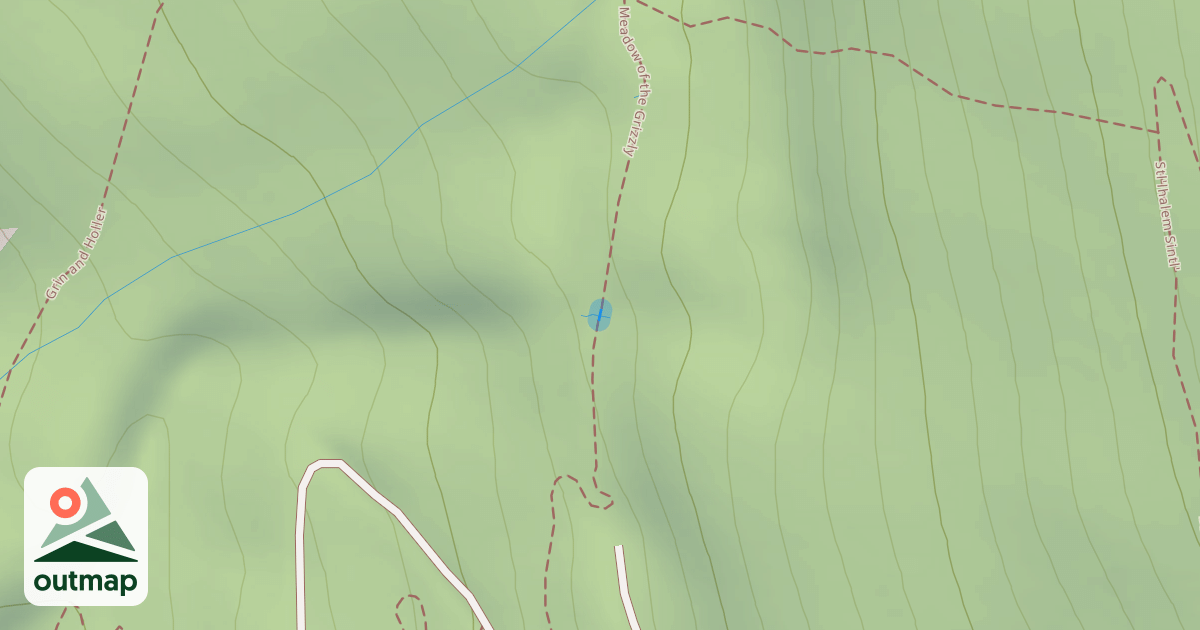 Map of Meadow of the Grizzly