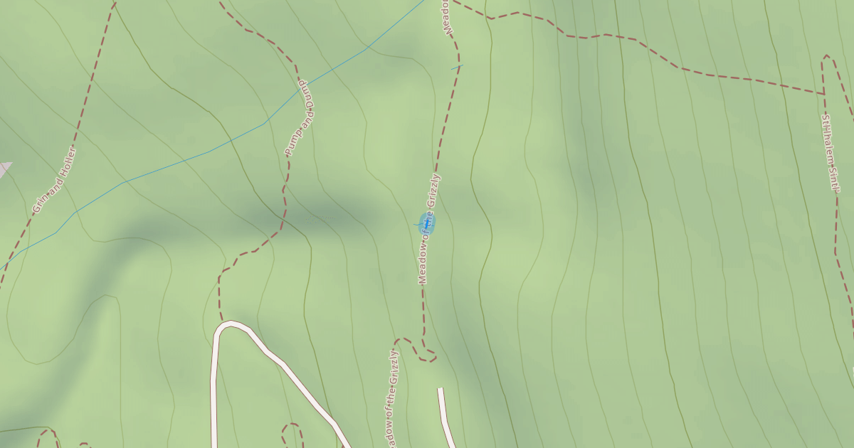 Map preview of Meadow of the Grizzly
