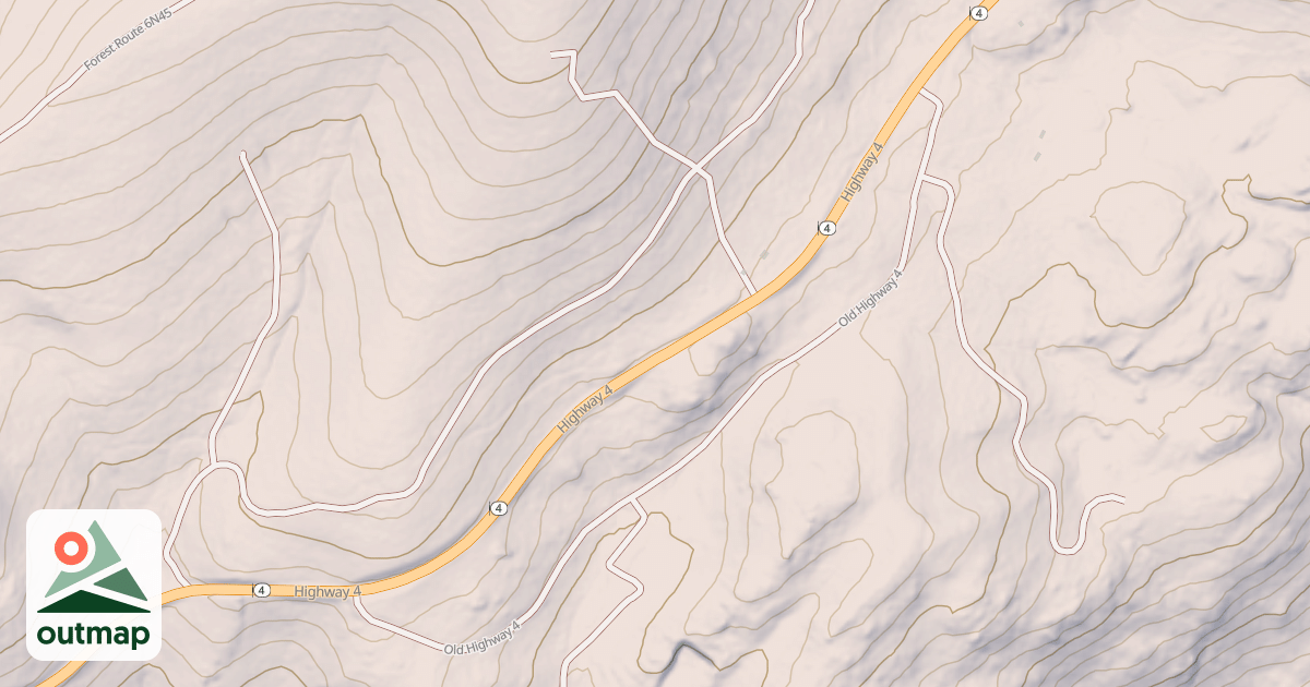 Map of USFS National Forest System Roads {F128B43C-8988-4CE3-8AE7-F5DEAA4999C5}