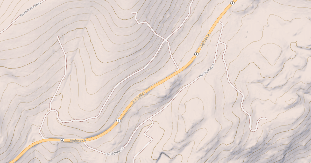 Map preview of USFS National Forest System Roads {F128B43C-8988-4CE3-8AE7-F5DEAA4999C5}