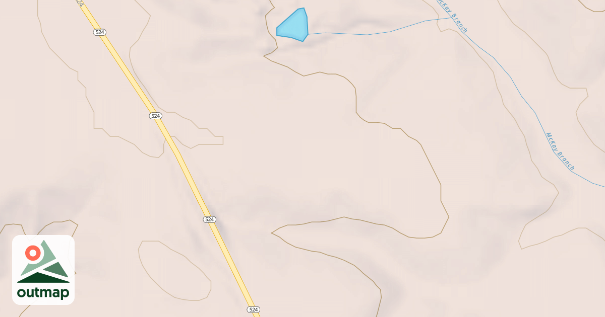 Map of 1194