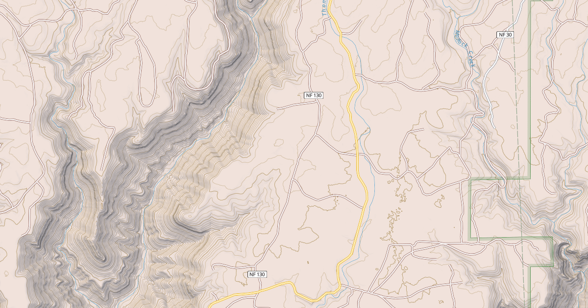 Map preview of USFS National Forest System Roads {2CDAC3E2-5FDF-46AB-8308-1428A92C25BD}