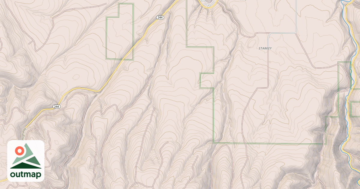 Map of USFS National Forest System Roads {1DB05644-91A7-4C9A-A372-037C758FE6A9}
