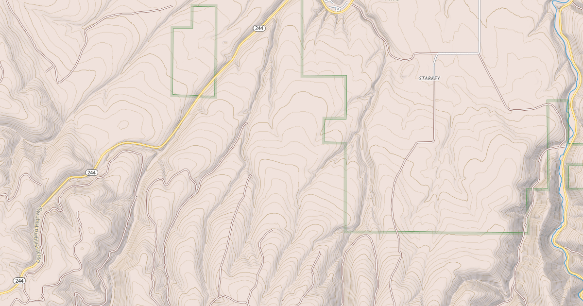 Map preview of USFS National Forest System Roads {1DB05644-91A7-4C9A-A372-037C758FE6A9}
