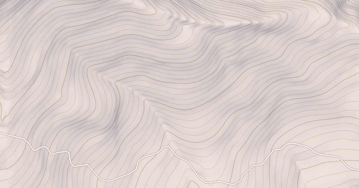 Map preview of USFS National Forest System Roads {BD2DBC8F-1BBB-4F14-B881-7C84E97DF146}