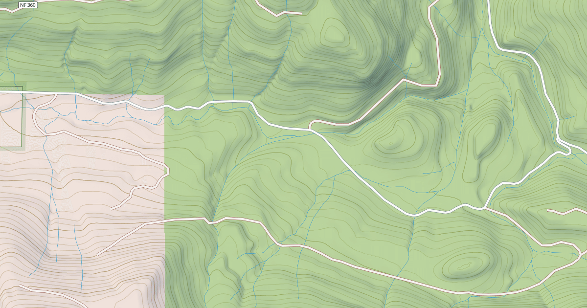 Map preview of USFS National Forest System Roads {44C50D64-9C5D-4393-A020-82A150C7C2C9}