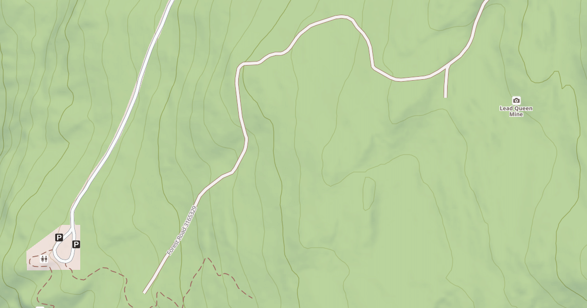 Map preview of USFS Motor Vehicle Use Map Roads {8BC89E09-2556-41D8-913F-B6CA3791391E}