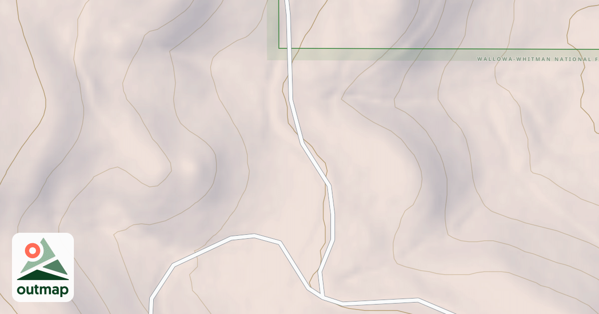 Map of USFS National Forest System Roads {8352690D-23EE-43A6-B9D4-FEF3097B68E5}