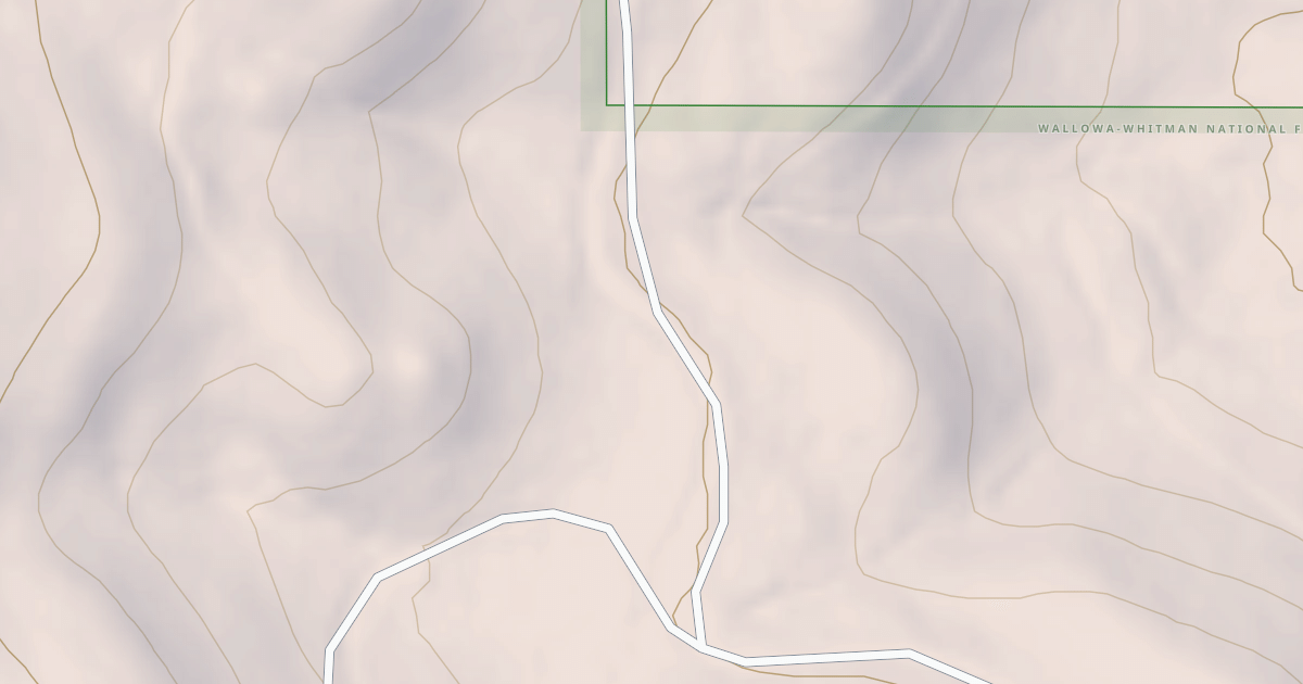 Map preview of USFS National Forest System Roads {8352690D-23EE-43A6-B9D4-FEF3097B68E5}
