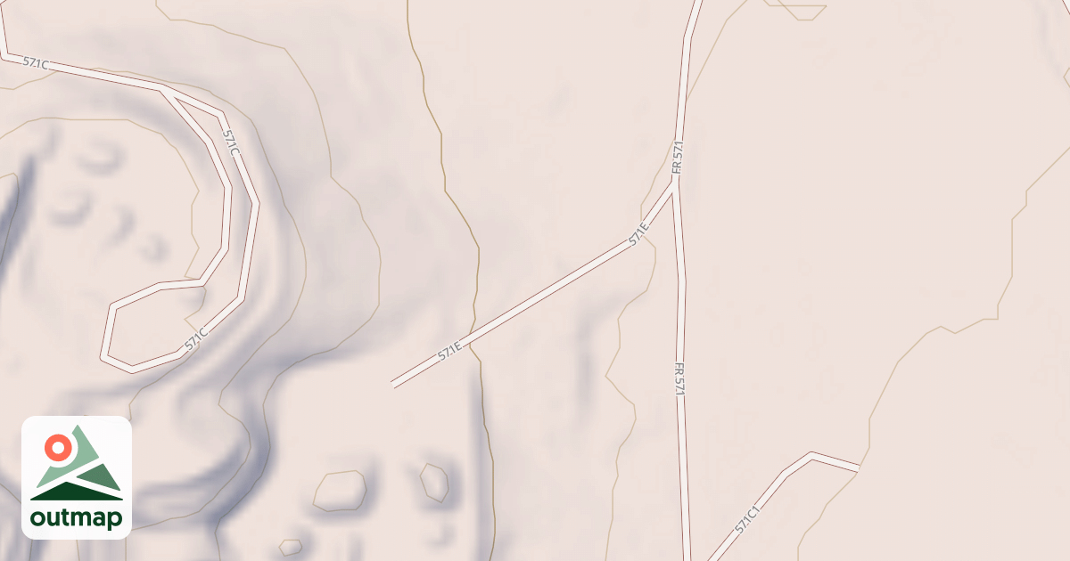 Map of USFS National Forest System Roads {0E22654B-4250-492D-AE18-C6E4C87365D4}