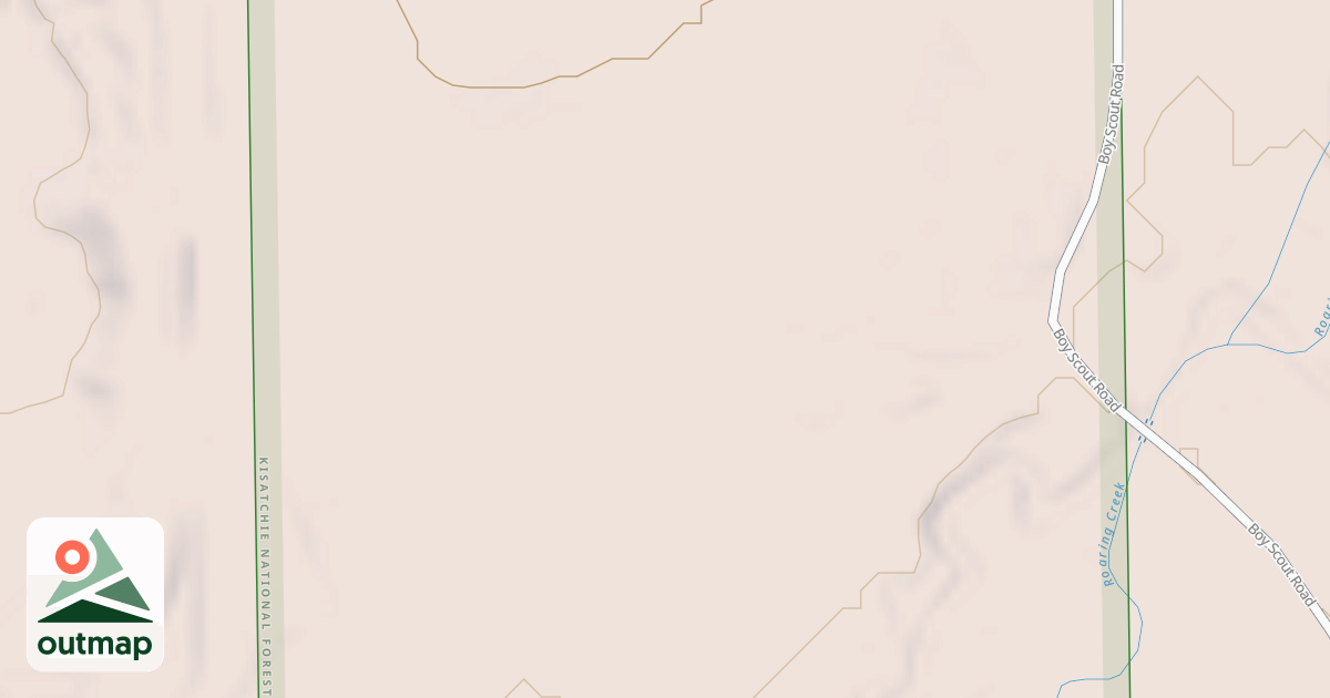 Map of USFS National Forest System Roads {0611BB0F-00A4-41E4-B277-9C46CA1CB9C3}