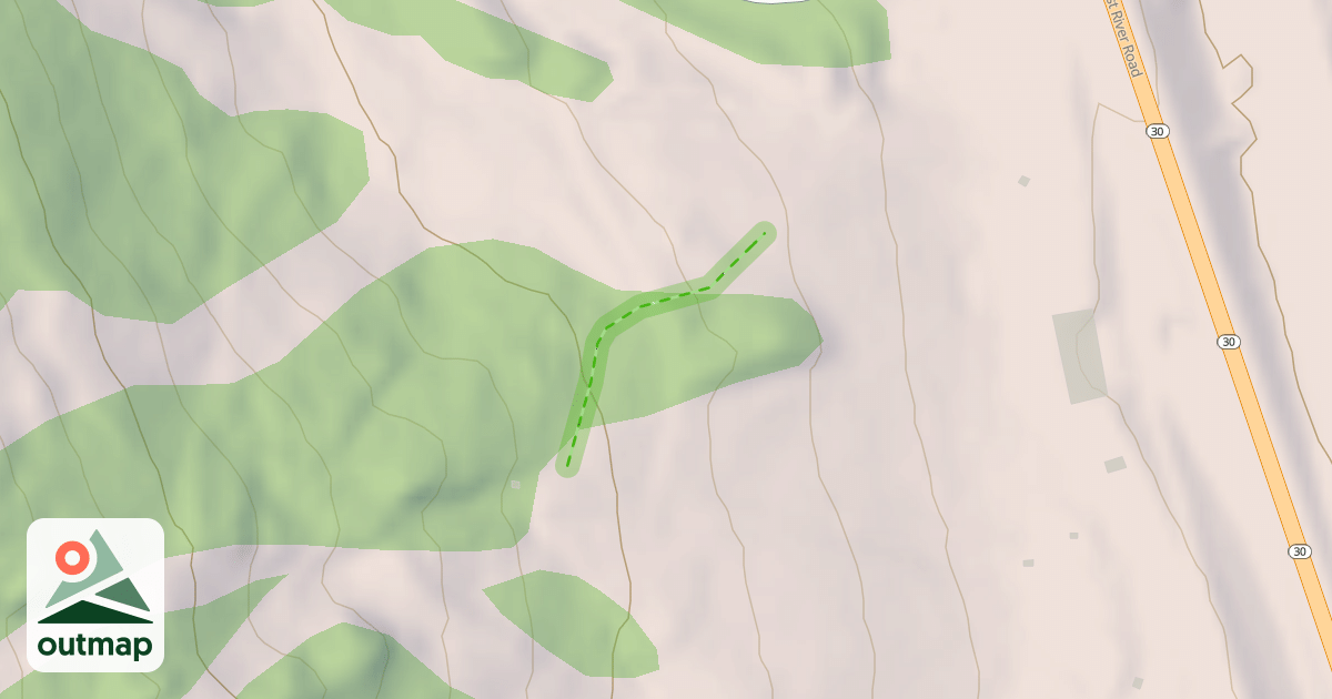 Map of Pam's Path